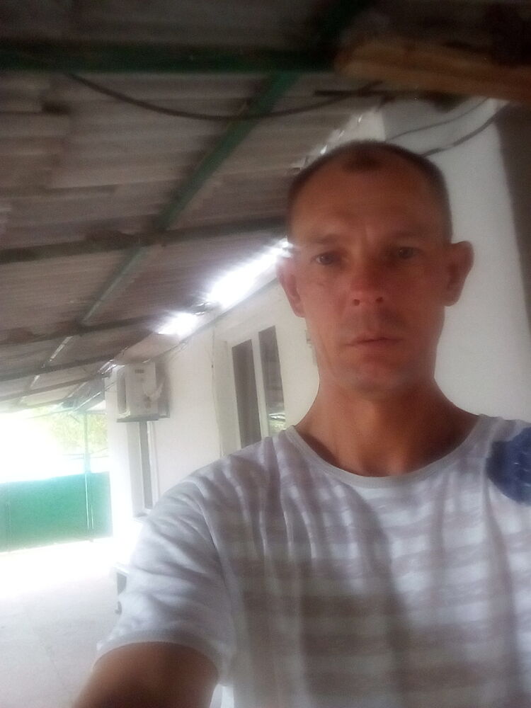  16905741  , 46 ,    