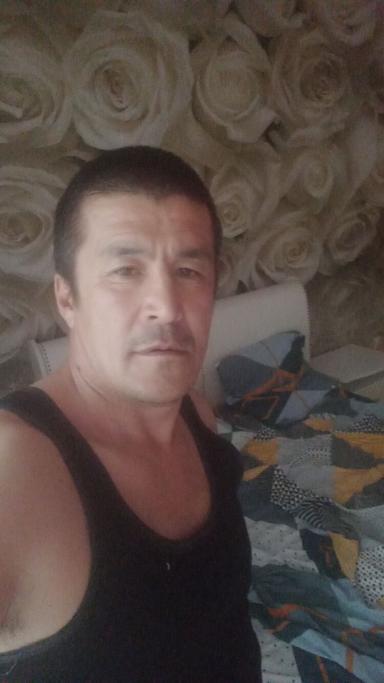  44087141  , 49 ,    