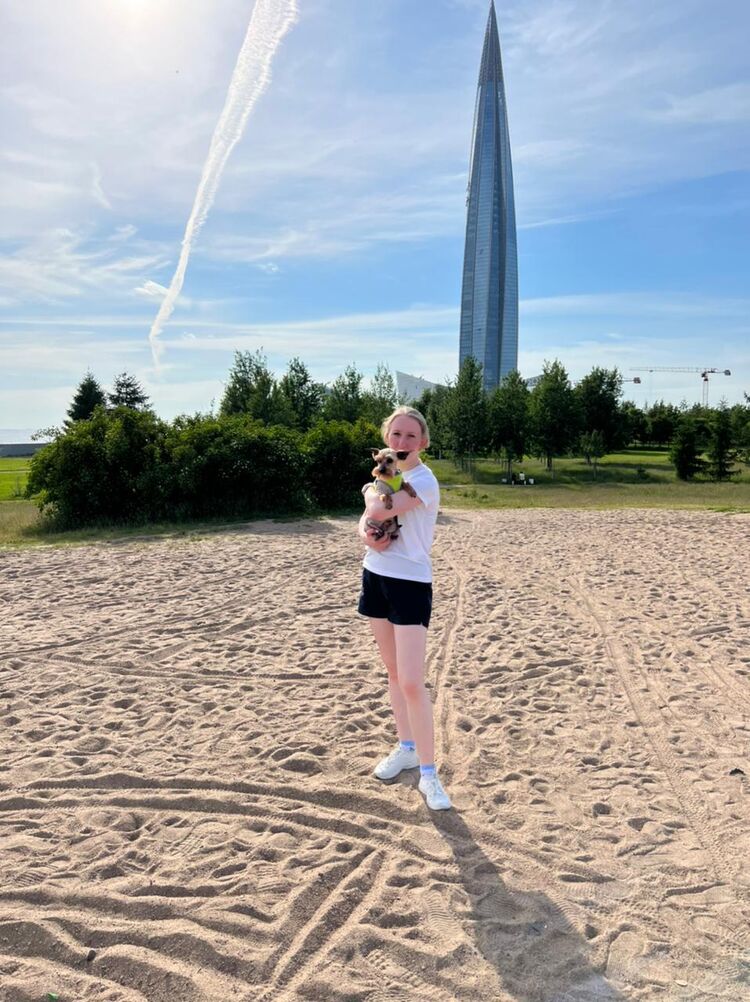  27327341  , 29 ,    -