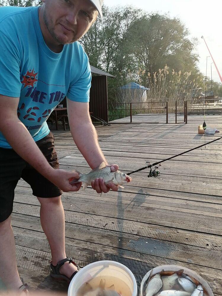 ���������� ������-��-����, ���� ������� �����, 40 ���, ������������ ��� ����� � ���������, c�������� ���������