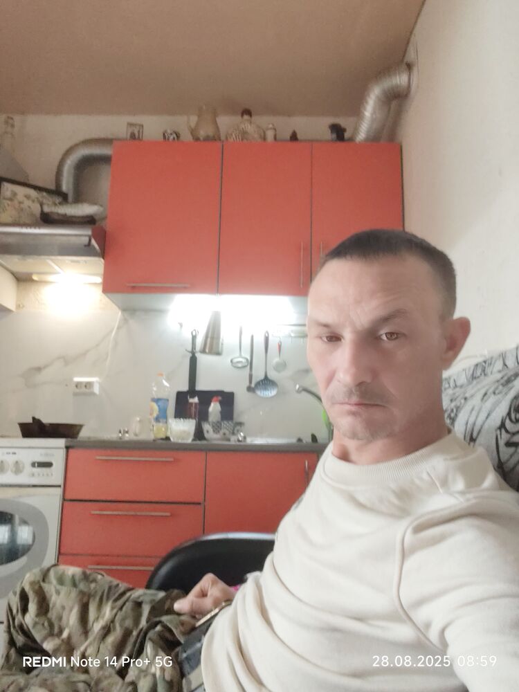  53307081  , 46 ,    -