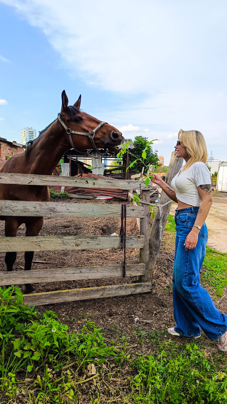 ���������� ������, ���� ������� �����, 41 ���, ������������ ��� ������, ����� � ���������, c�������� ���������, ���������