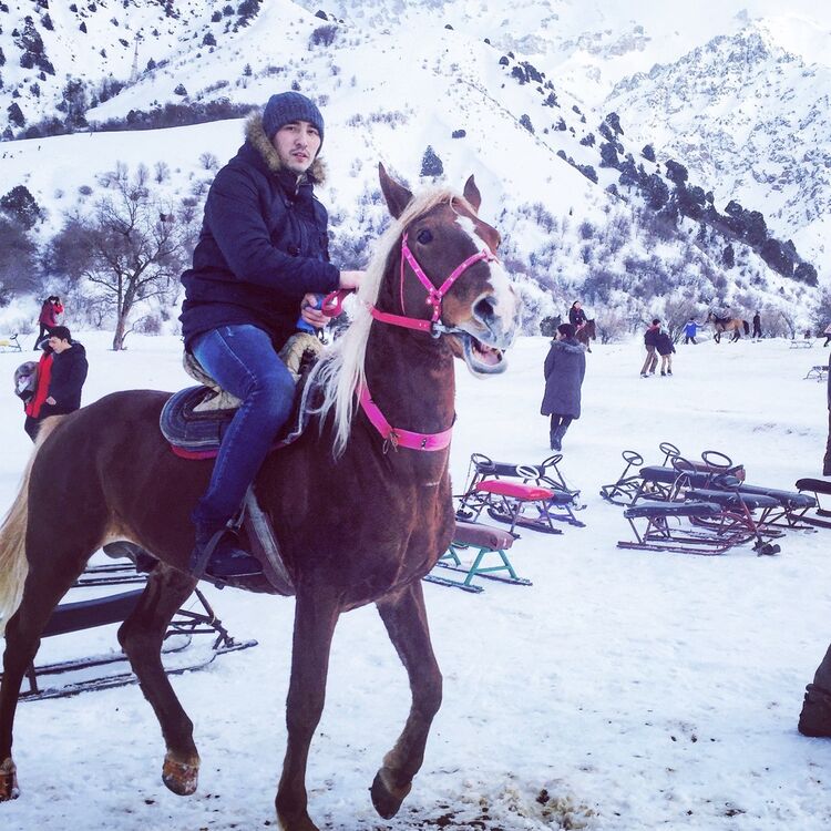 ���� 8996491 ������� ����, 32 ����, ���� ���������� � ������