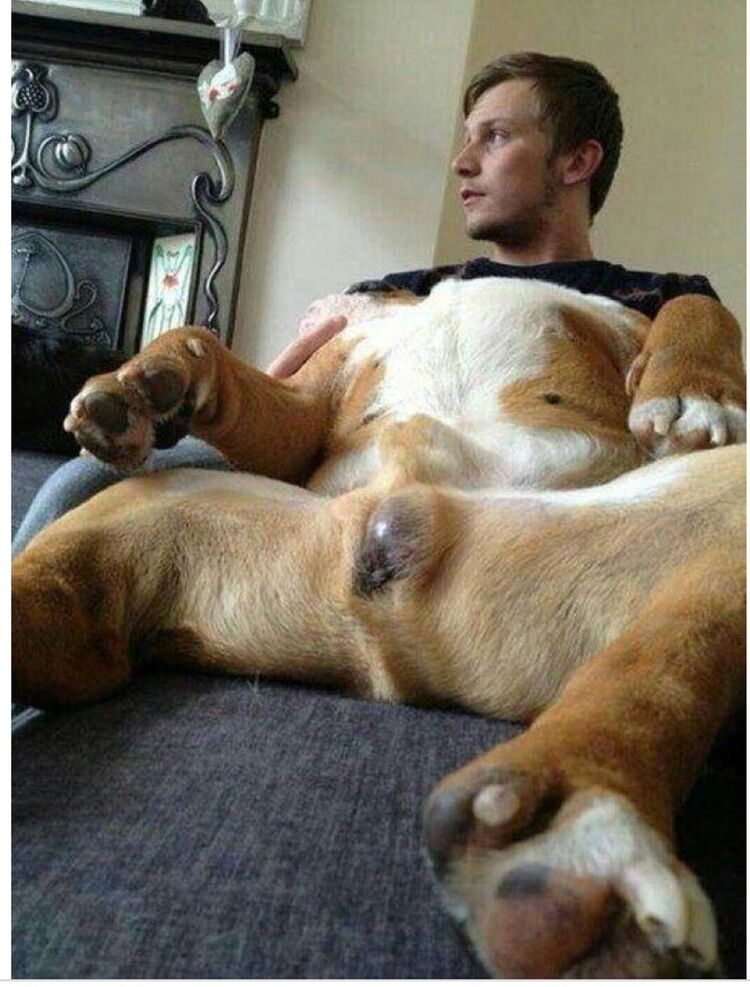 ���� 16884631 ������� �������, 40 ���, ���� ���������� � ������������