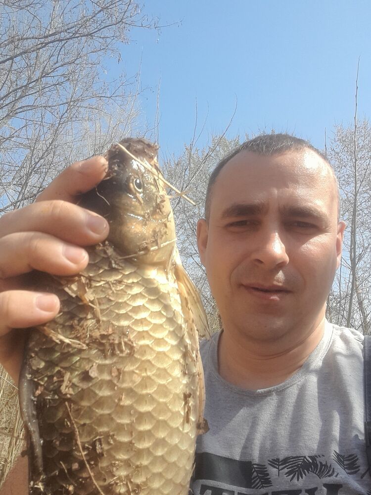  33755981  , 40 ,    