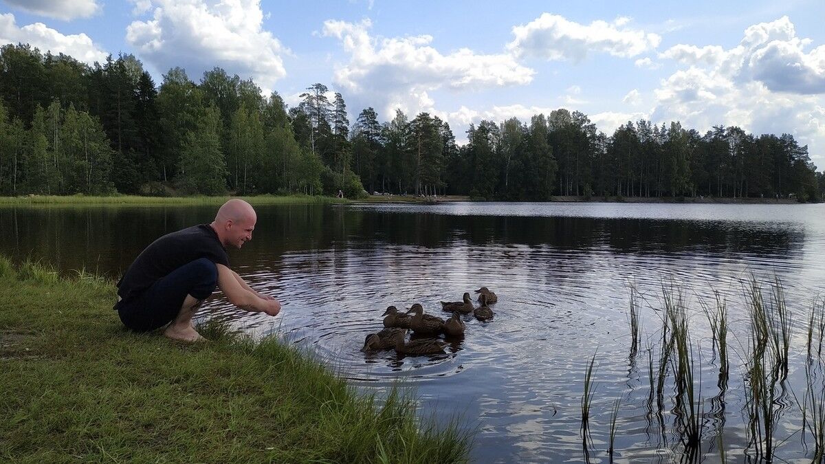 ���������� �����-���������, ���� ������� �����, 36 ���, ������������ ��� ������, ����� � ���������, c�������� ���������