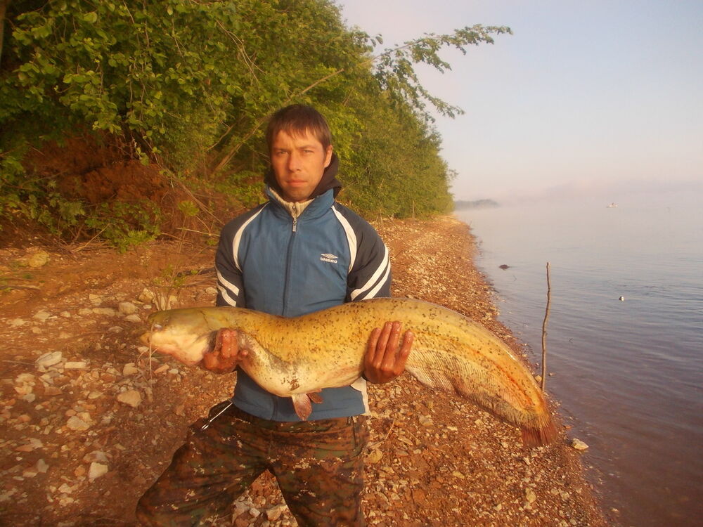 ���� 11211221 ������� ���������, 46 ���, ���� ���������� � ������ ���������