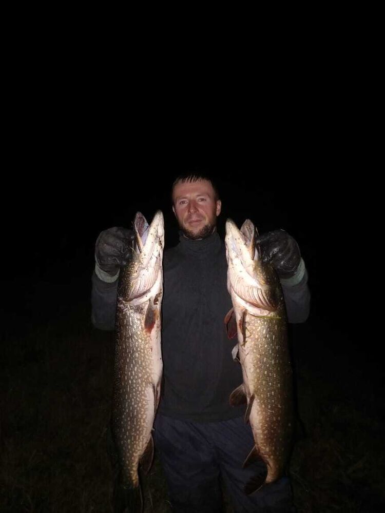 ���� 54751071 ������� ������, 40 ���, ���� ���������� � ����������