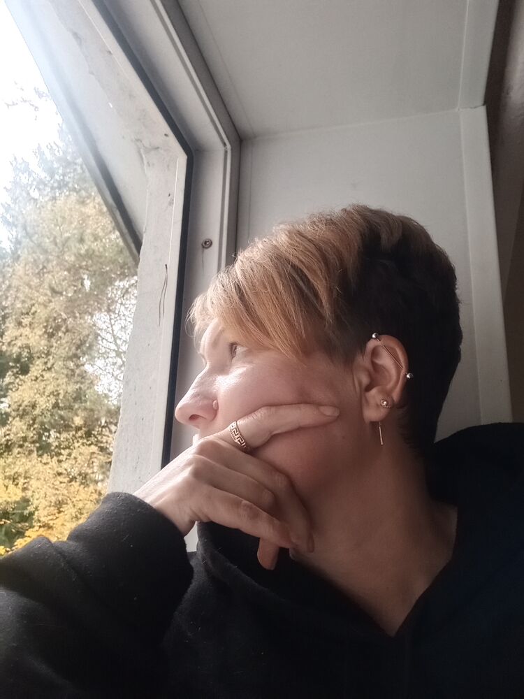  53933681  , 41 ,    