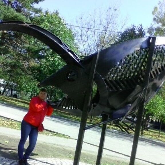 ���� 11015051 ������� �����, 42 ����, ���� ���������� � ����������