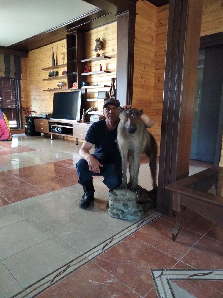 ���� 26542261 ������� ��������, 47 ���, ���� ���������� � �����������