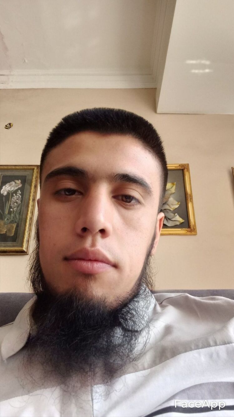  45589981  , 33 ,    