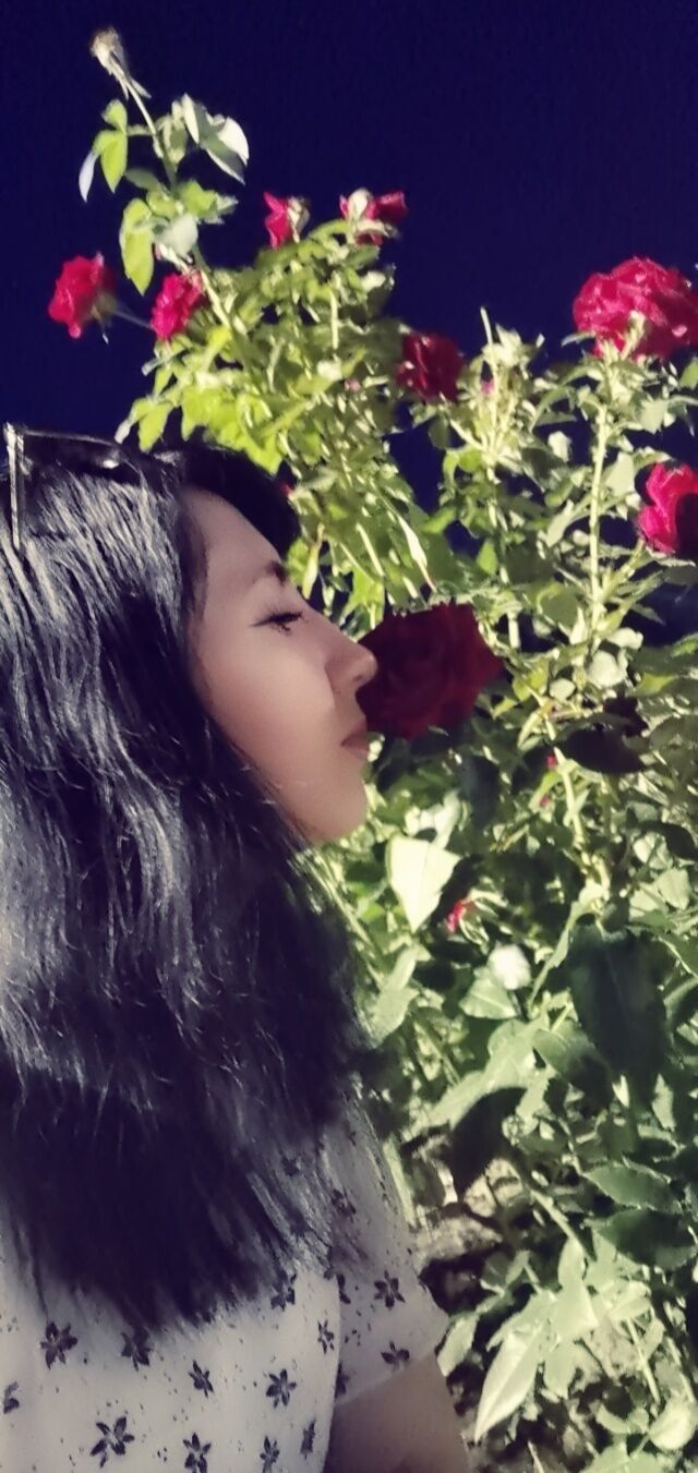  --,   , 32 ,   ,   , 