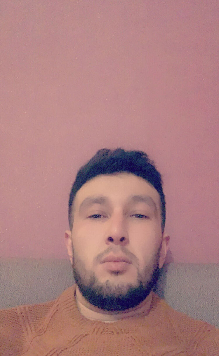  31060231  , 31 ,    