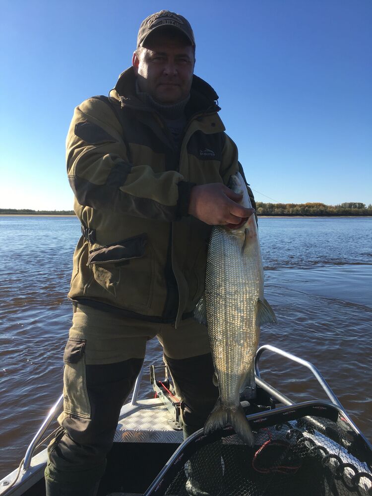 ���� 55191521 ������� �������, 47 ���, ���� ���������� � ������������