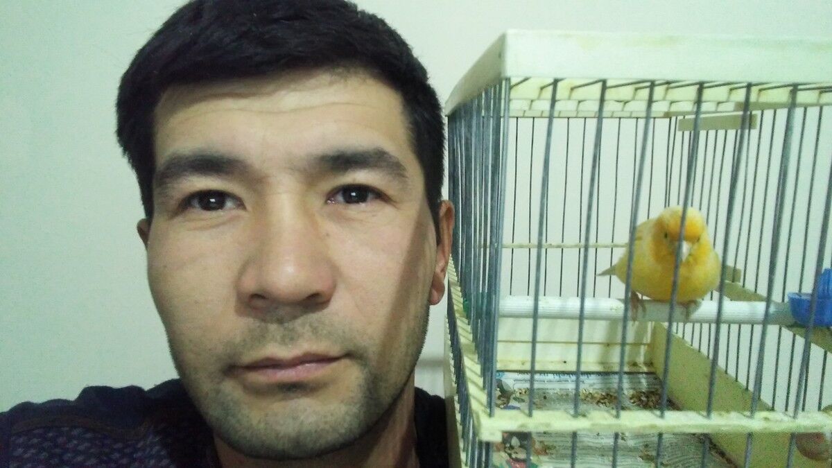 ���������� �������, ���� ������� �����, 39 ���, ������������ ��� ������, ����� � ���������, c�������� ���������