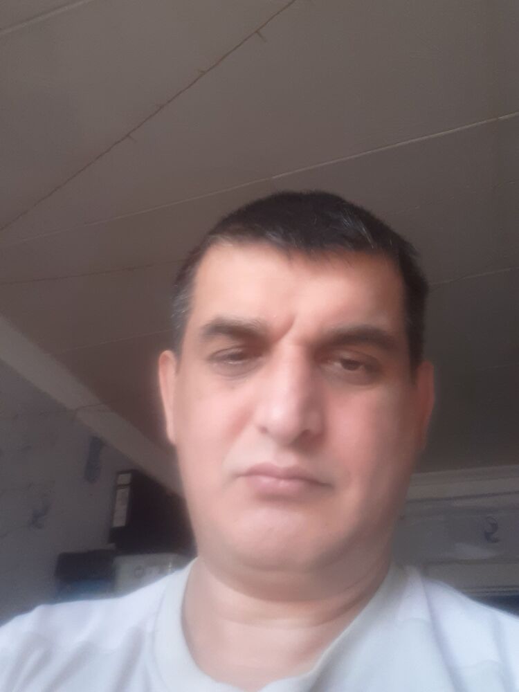  43430541  , 40 ,    