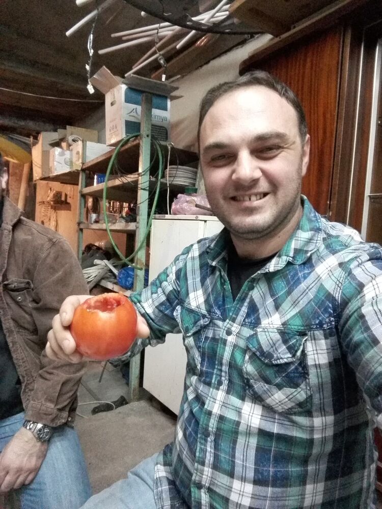 ���� 8251961 ������� Shako, 41 ���, ���� ���������� � �������