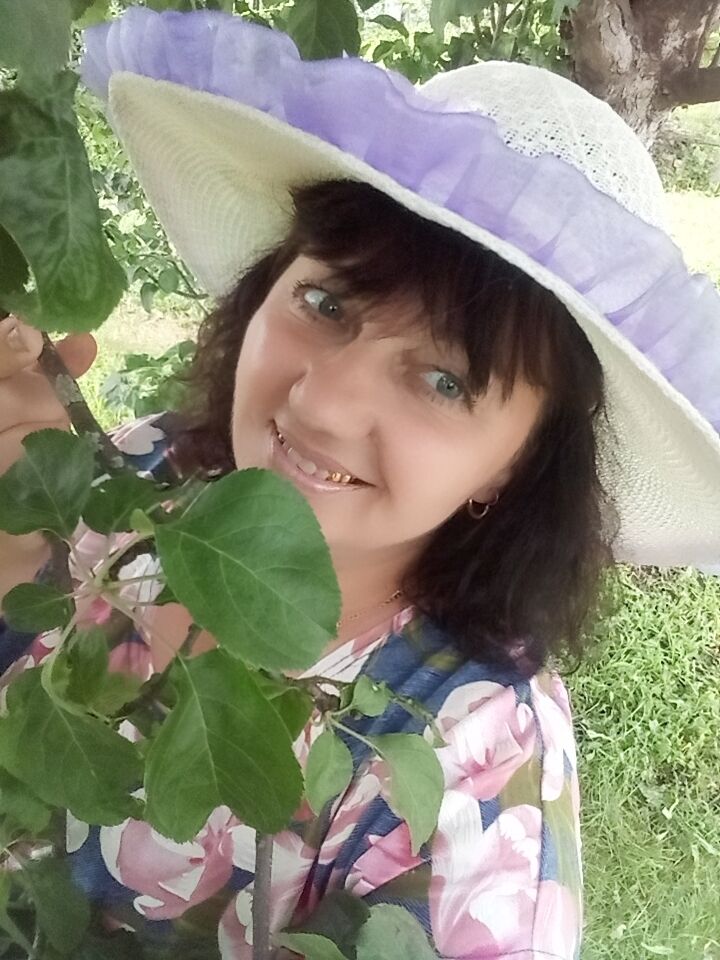 ���� 23157171 ������� �������, 50 ���, ���� ���������� � ������ ���������