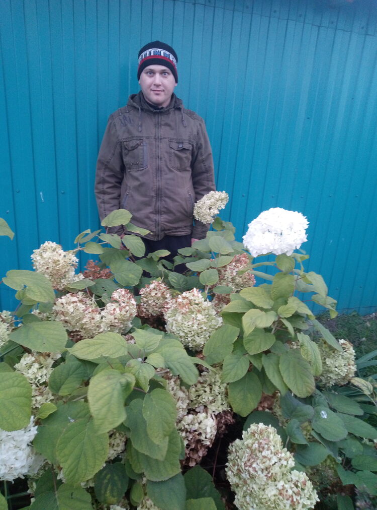 ���� 25136001 ������� ��������, 36 ���, ���� ���������� � ��������