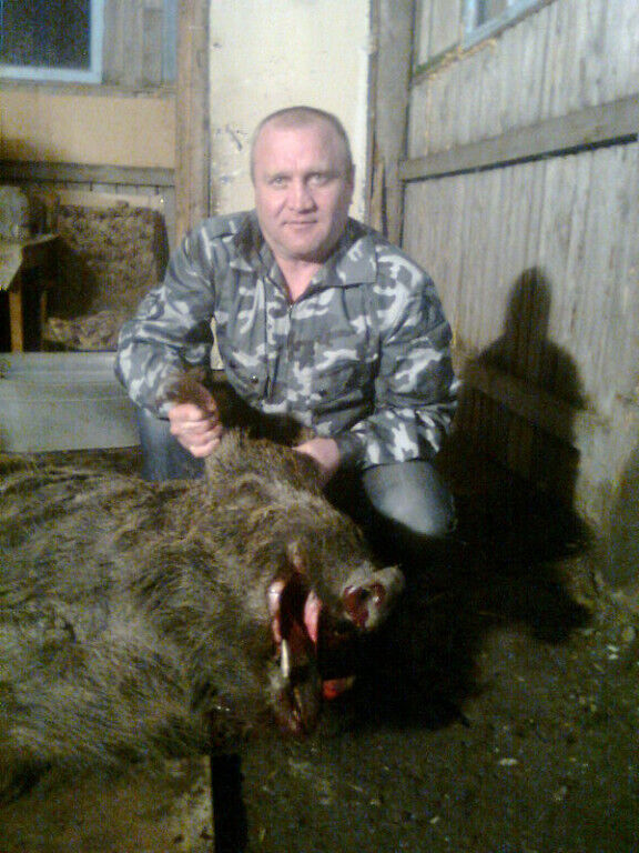 ���� 24966341 ������� �������, 52 ����, ���� ���������� � ������