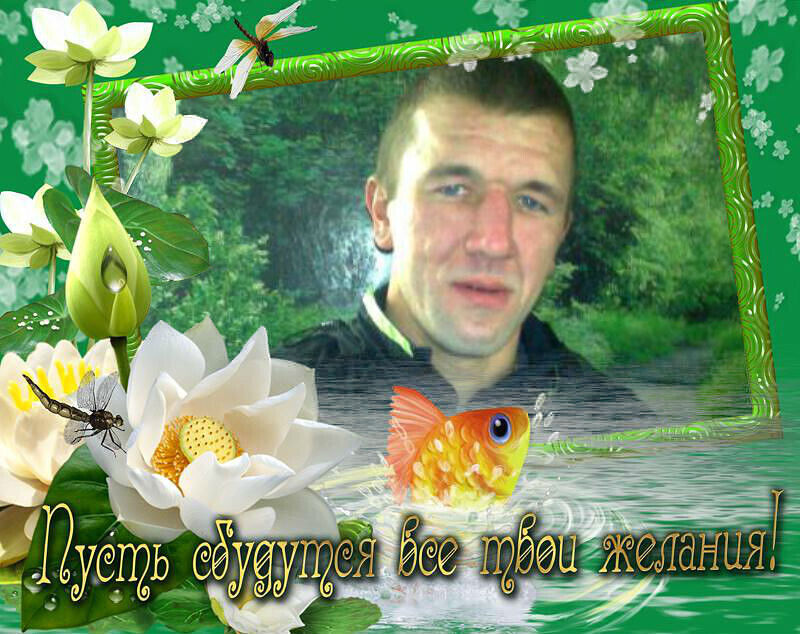 ���� 54247211 ������� Angel, 42 ����, ���� ���������� � ���������