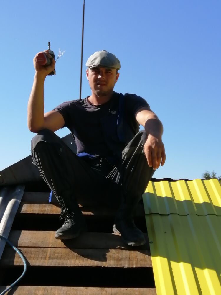  28103691  , 31 ,    