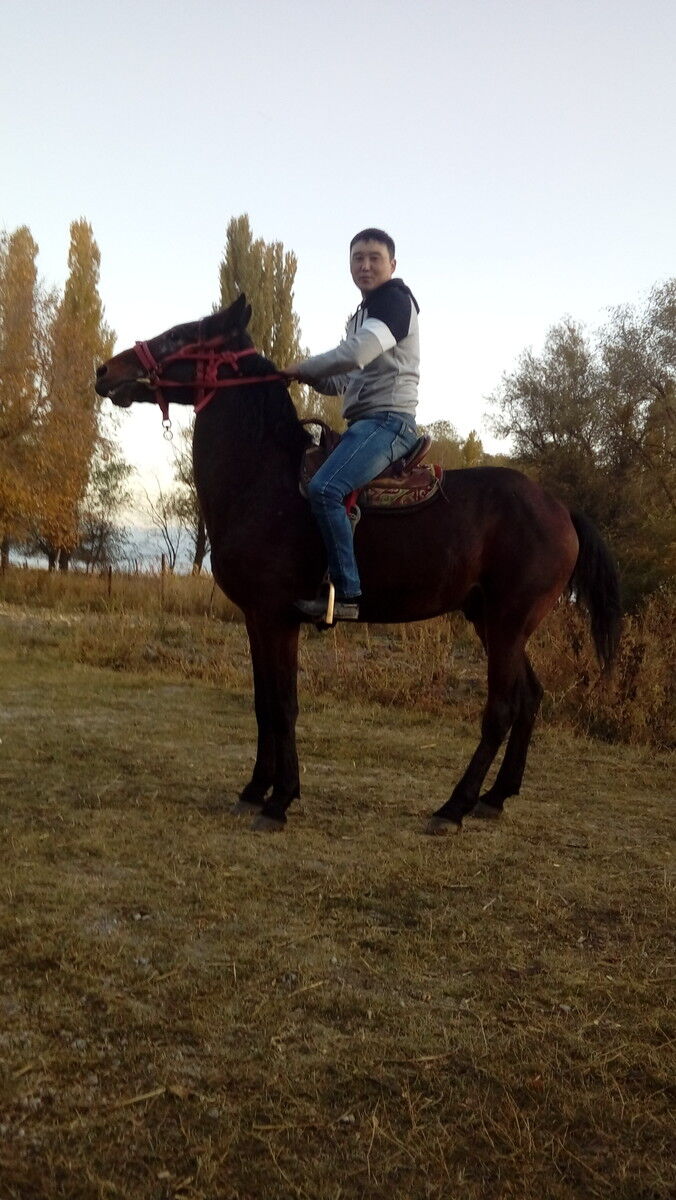 ���� 18135511 ������� �������, 35 ���, ���� ���������� � ������