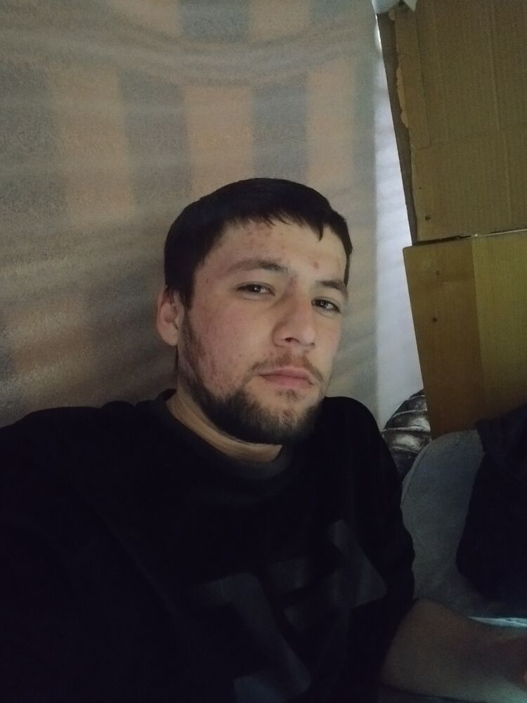  31801011  , 24 ,    