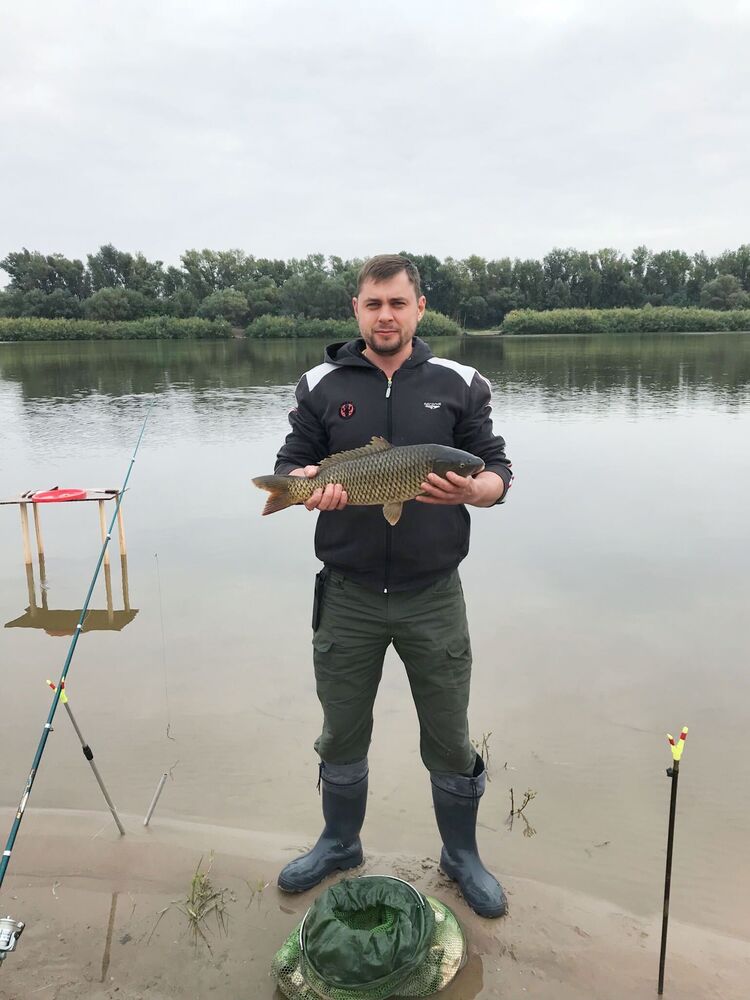 ���������� ������, ���� ������� ���������, 37 ���, ������������ ��� ����� � ���������, c�������� ���������