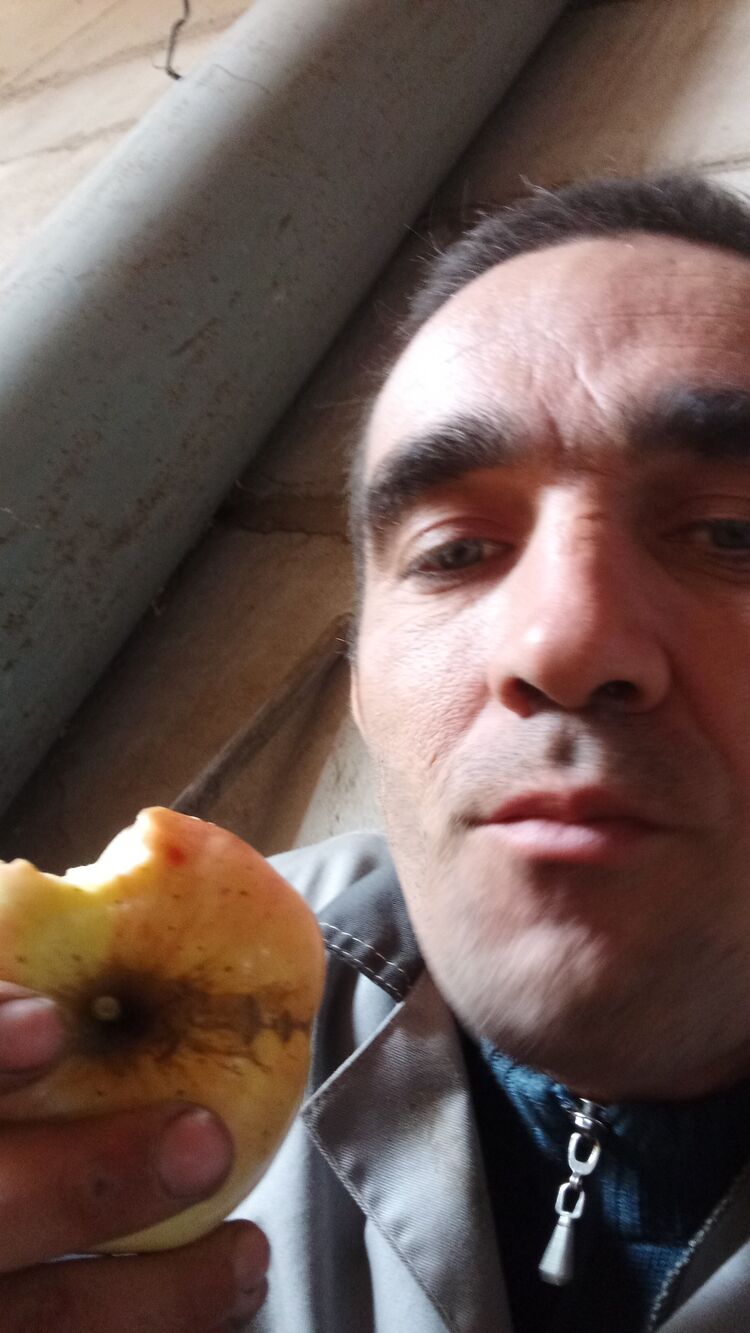 ���� 54949871 ������� ����, 34 ����, ���� ���������� � ����������