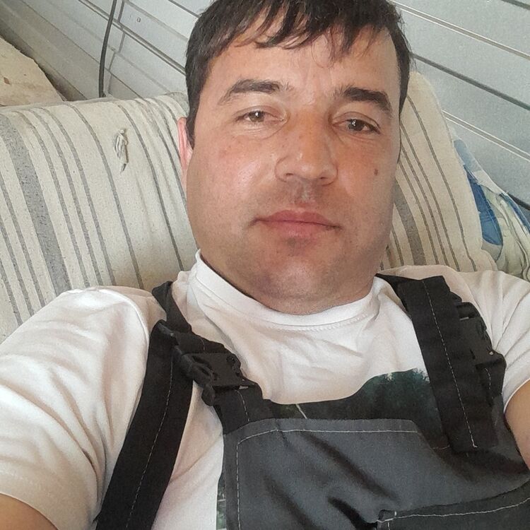  43917161  , 36 ,    