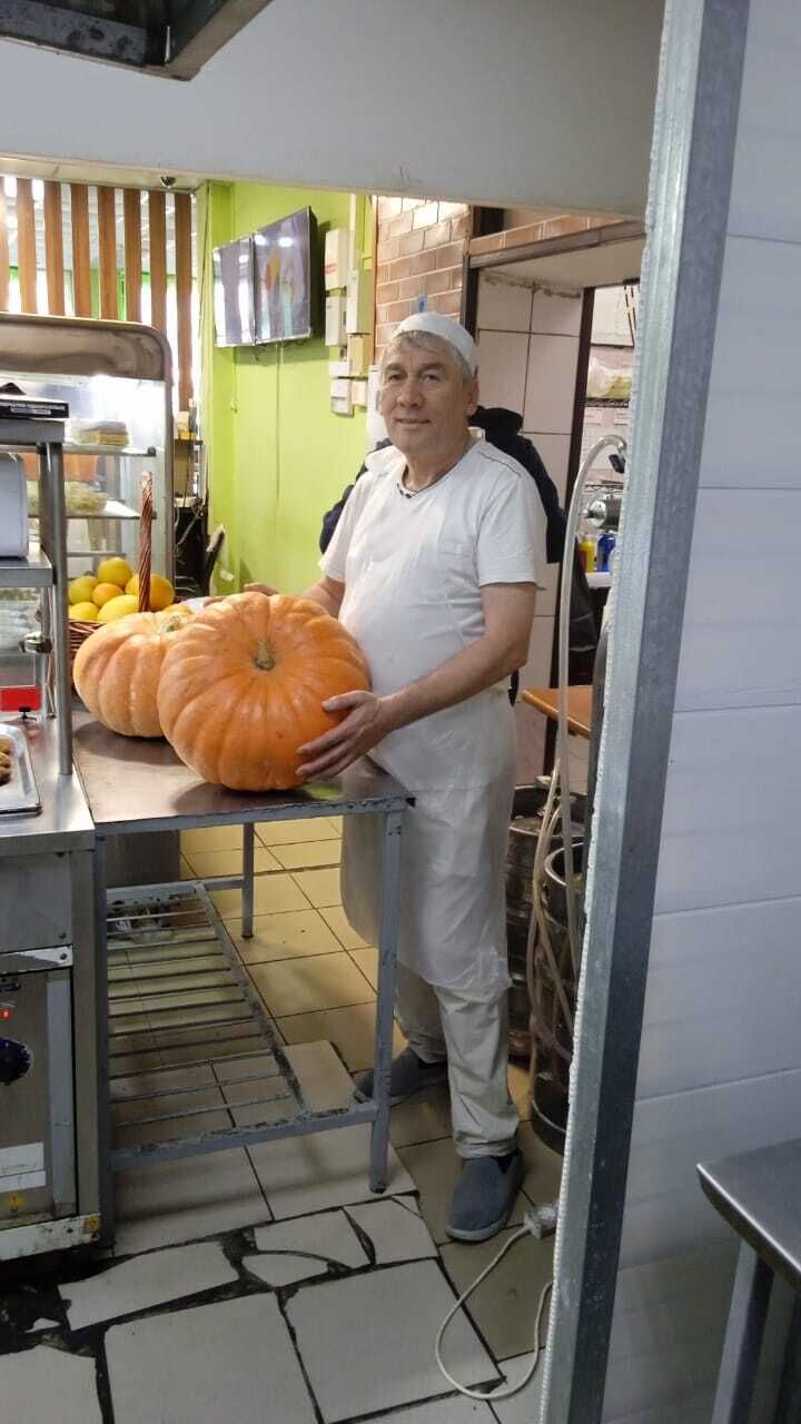  29565821  , 59 ,    