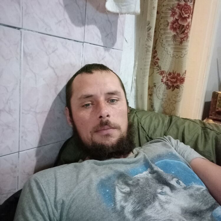  46026071  , 34 ,    