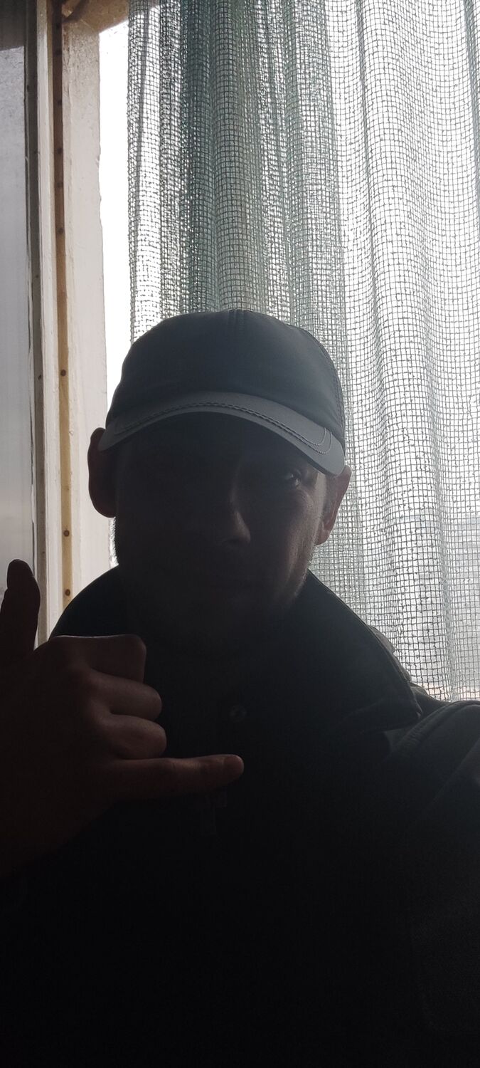  38058781  , 33 ,    