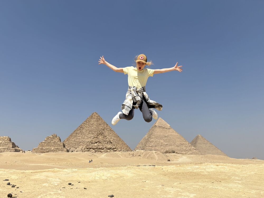  54056121  , 41 ,    -