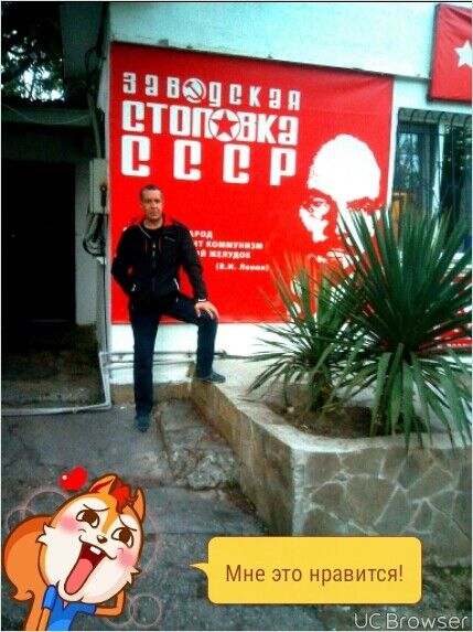  9955681  , 51 ,    
