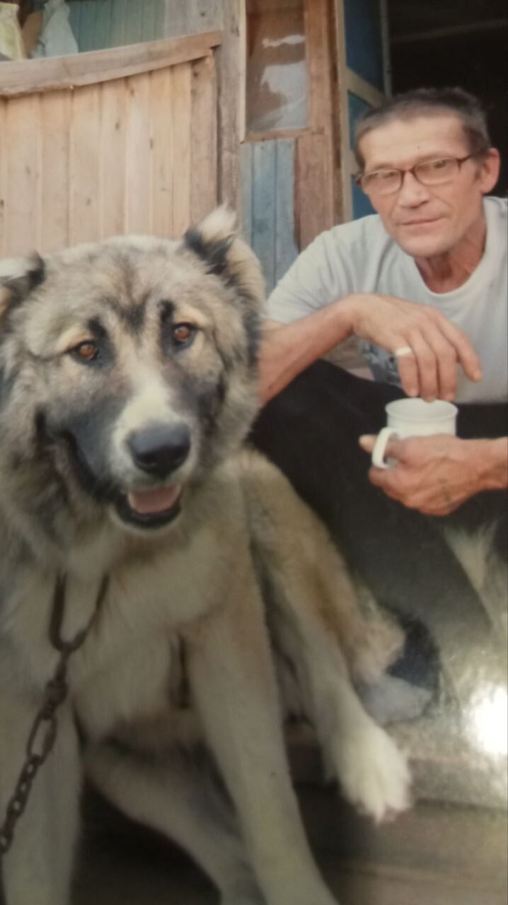   ,   , 65 ,   ,   