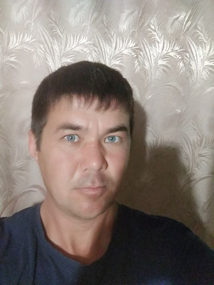  16396911  , 41 ,    