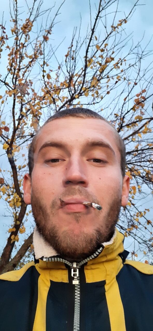  ,   ˸, 29 ,   ,   
