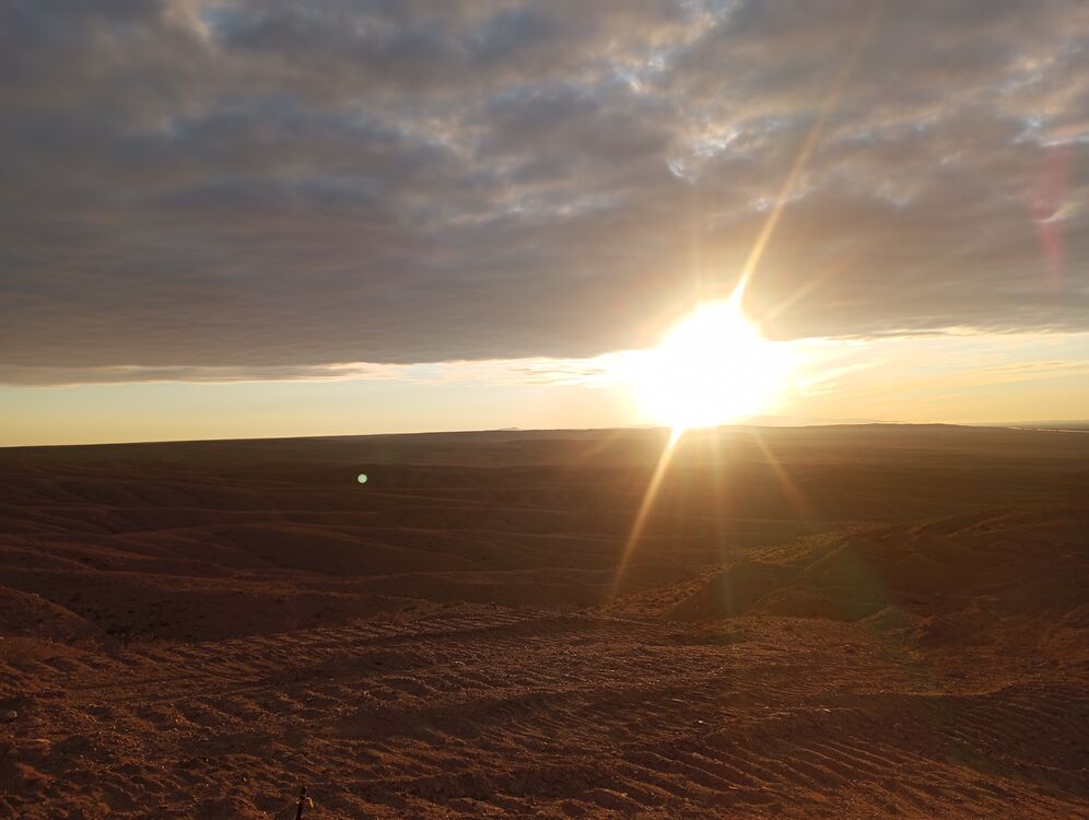 ���� 56163031 ������� Aga, 47 ���, ���� ���������� � ������������