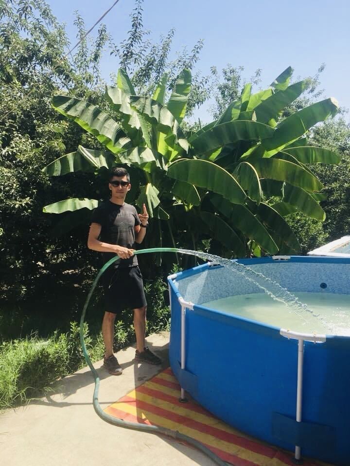 ���� 35053921 ������� Bakha, 36 ���, ���� ���������� � �������