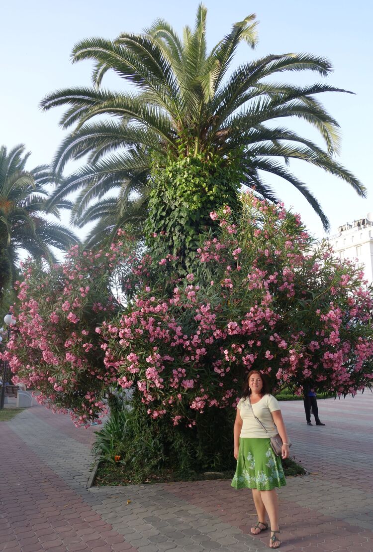 ���� 54811311 ������� �����, 41 ���, ���� ���������� � ������������