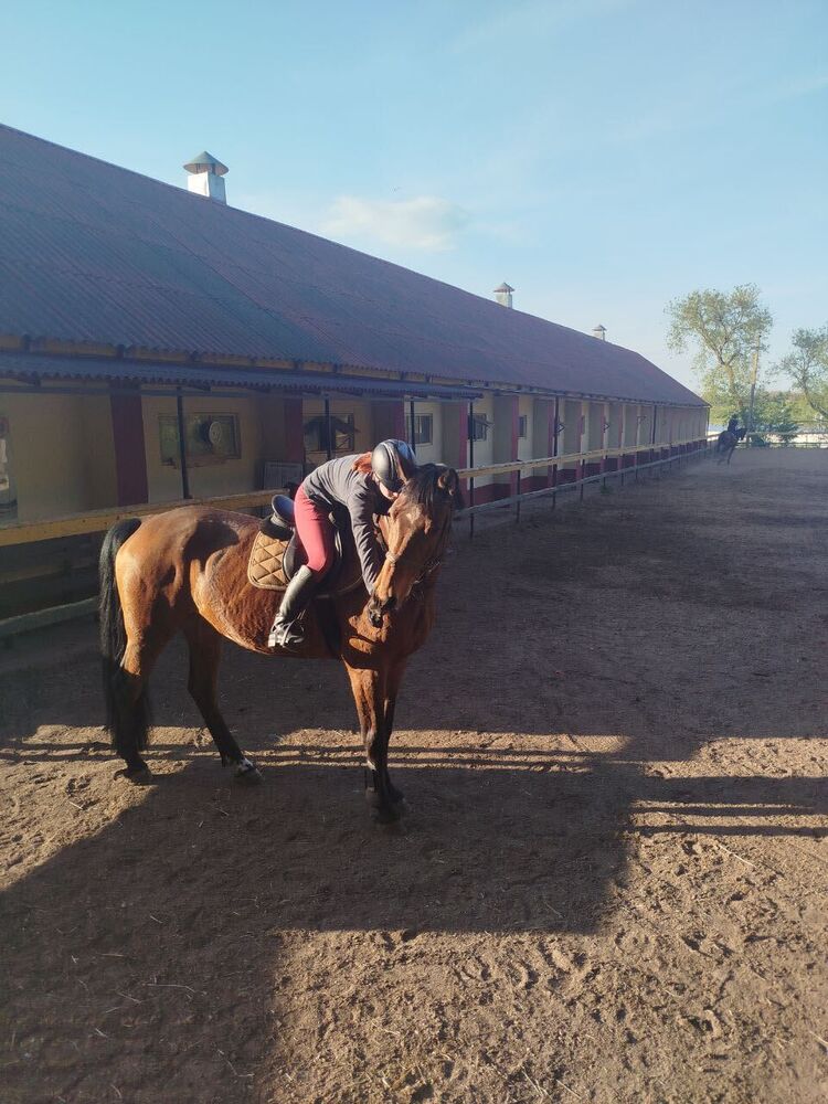 ���������� �����, ���� ������� ����, 22 ����, ������������ ��� ������, ����� � ���������, ���������