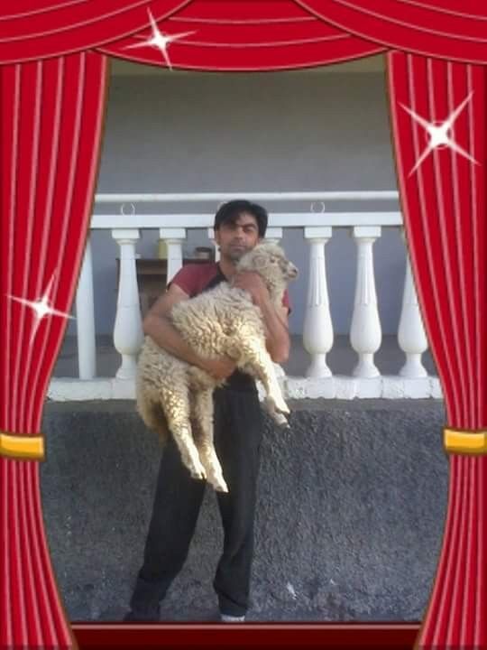  ,   Shaka, 42 ,   ,   , c 