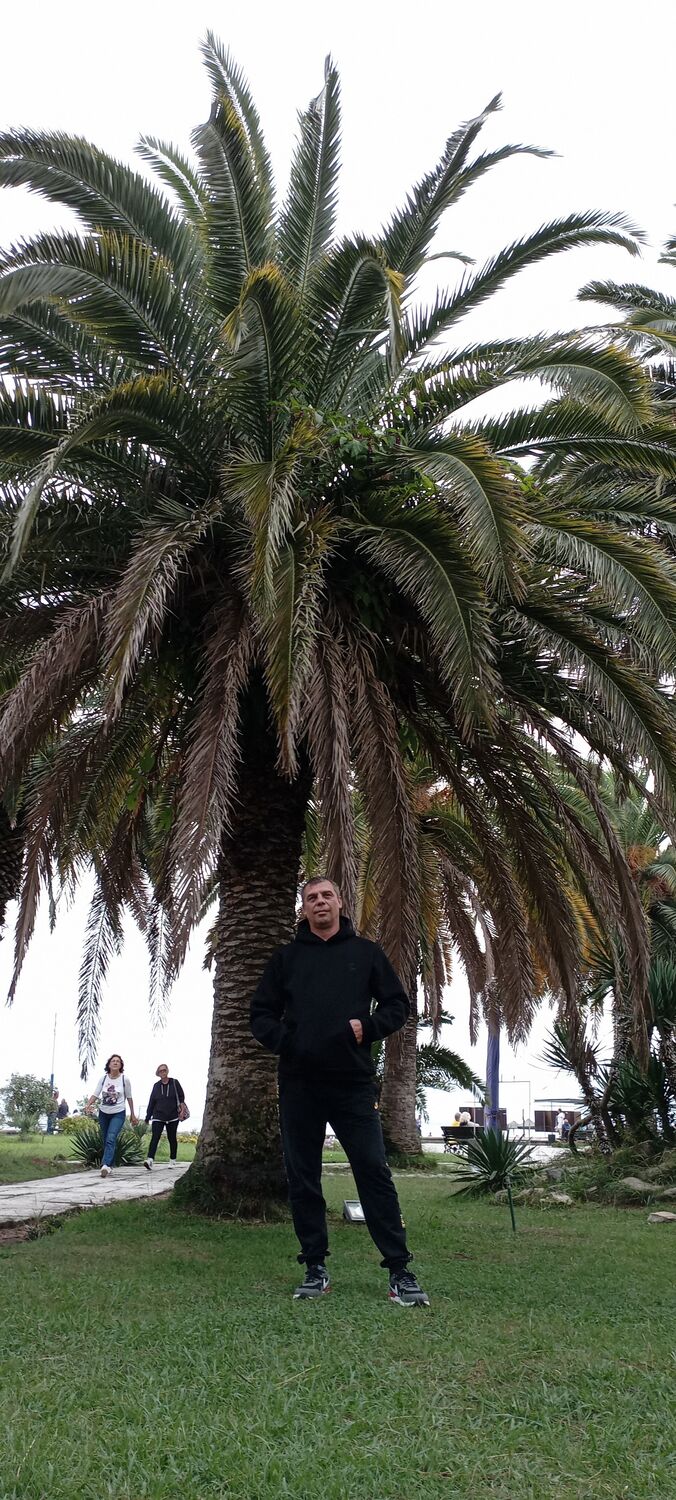 ���� 34307911 ������� ���������, 45 ���, ���� ���������� � ������