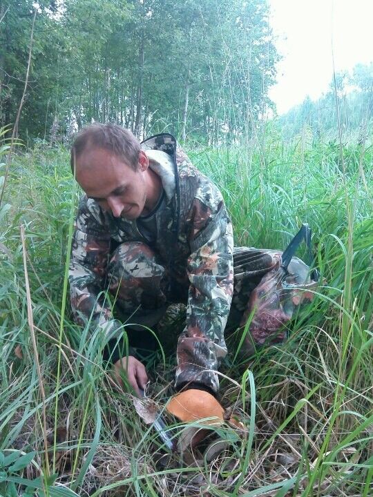 ���� 8861361 ������� �����, 36 ���, ���� ���������� � ������������