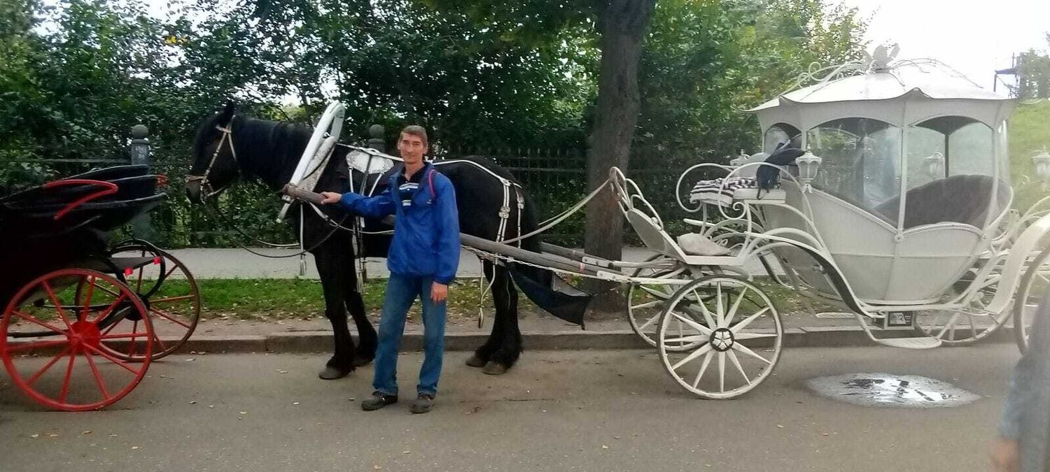 ���� 55066521 ������� �����, 55 ���, ���� ���������� � �������