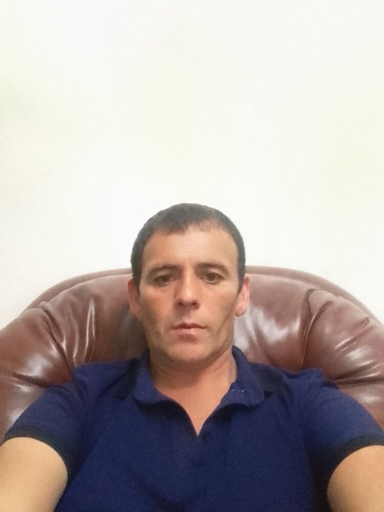  26436781  , 43 ,    