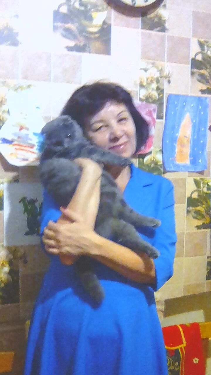  ,   , 62 ,   